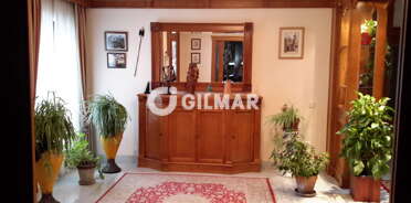 acp galery