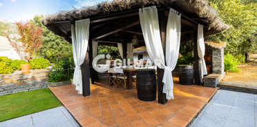 acp galery