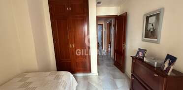 acp galery