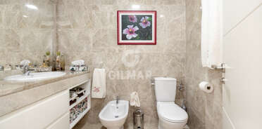 acp galery