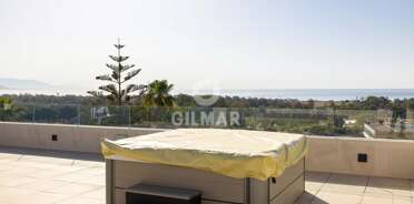 acp galery