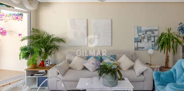 acp galery