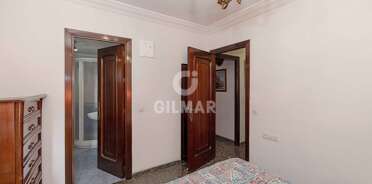 acp galery