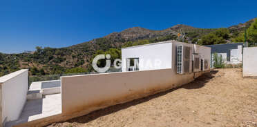acp galery