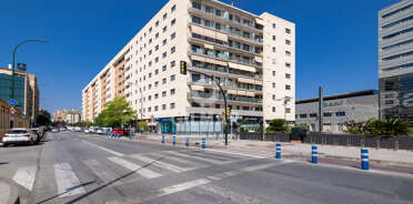 acp galery