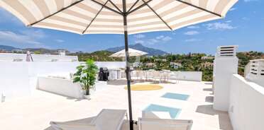 acp galery