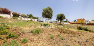 acp galery
