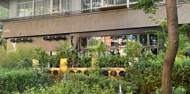 acp galery