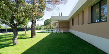 acp galery