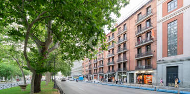 acp galery