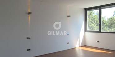 acp galery