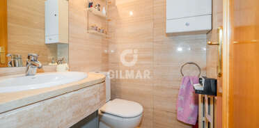 acp galery