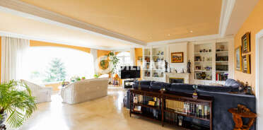acp galery