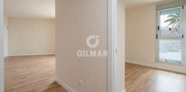 acp galery