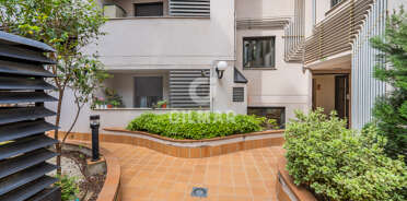 acp galery
