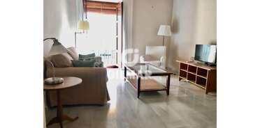 acp galery