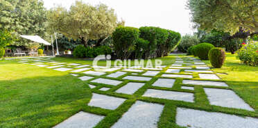 acp galery