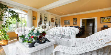 acp galery
