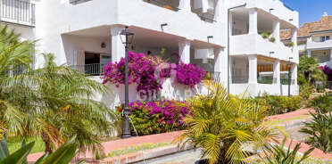 acp galery