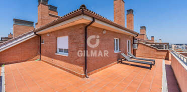 acp galery