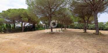 acp galery