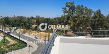 acp galery