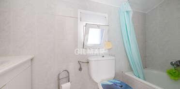 acp galery
