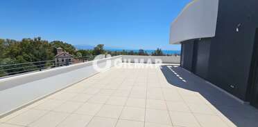 acp galery