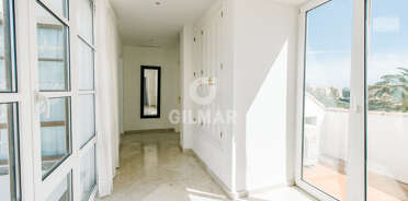 acp galery