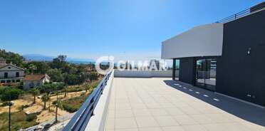 acp galery