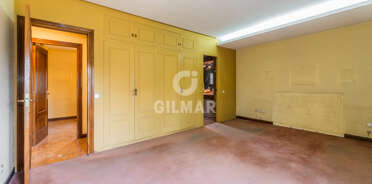 acp galery