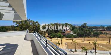 acp galery