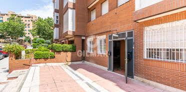 acp galery