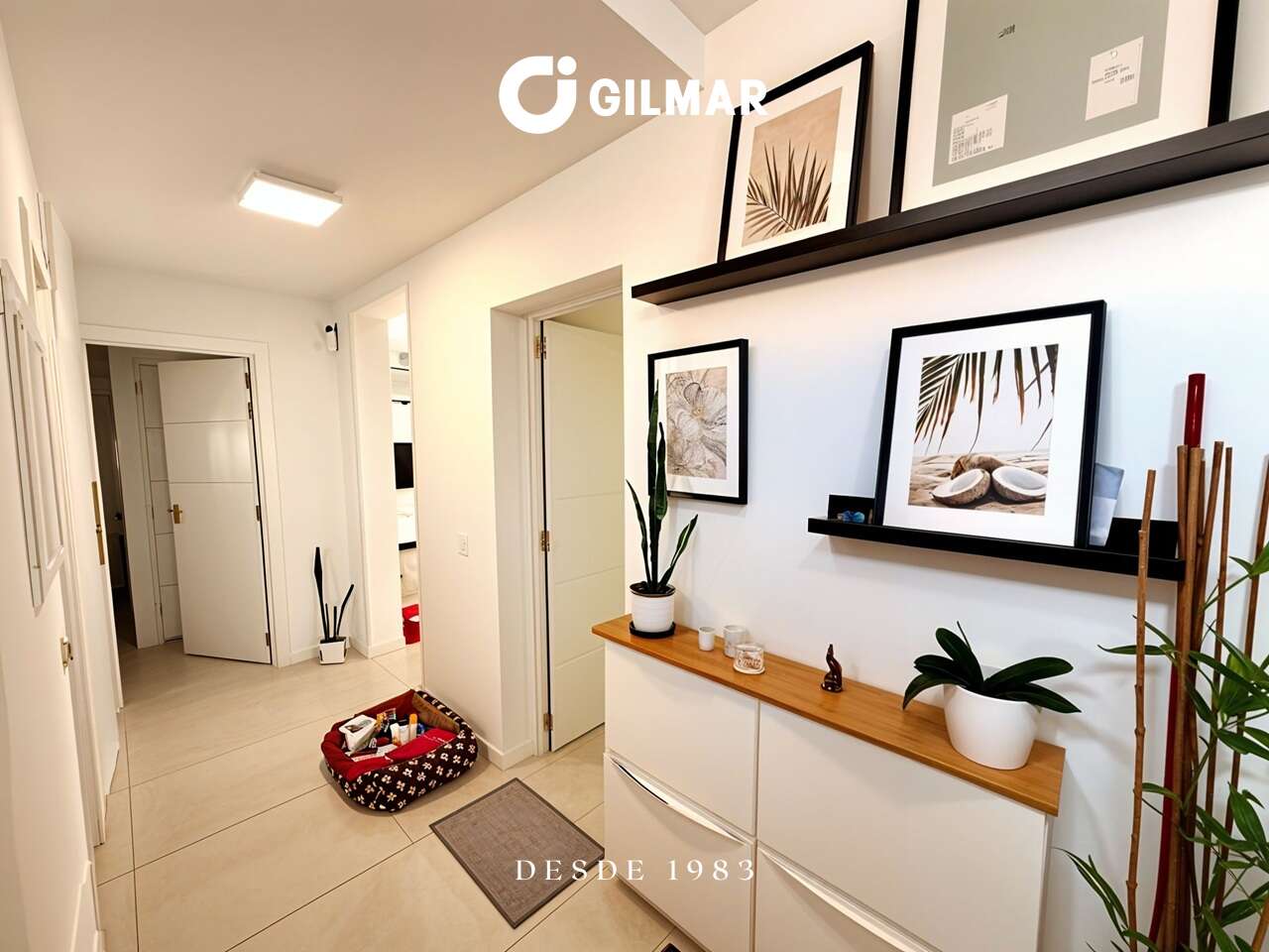 Vista del pasillo de entrada con muebles de almacenaje, plantas, cuadros y acceso a otras estancias de la casa.