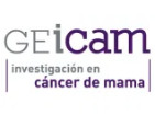 Logotipo de GEICAM